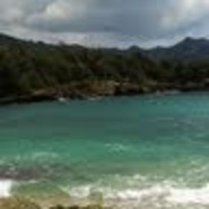 Meet your Posher, Tamara